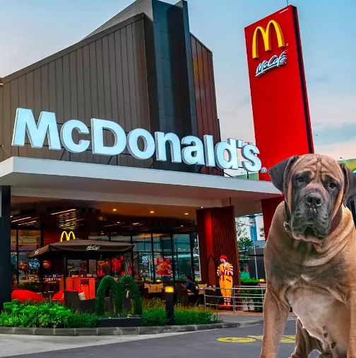 Maccies also inspired dog names (