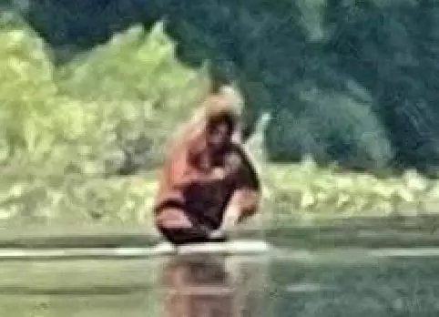 Bigfoot looks like it's having a wash in the river.