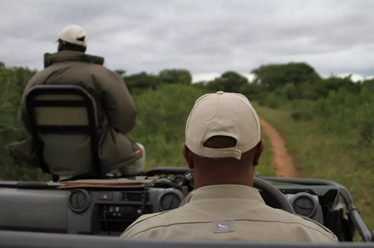 Scouts look for white rhinoceros in the Phinda Private Game Reserve in South Africa.