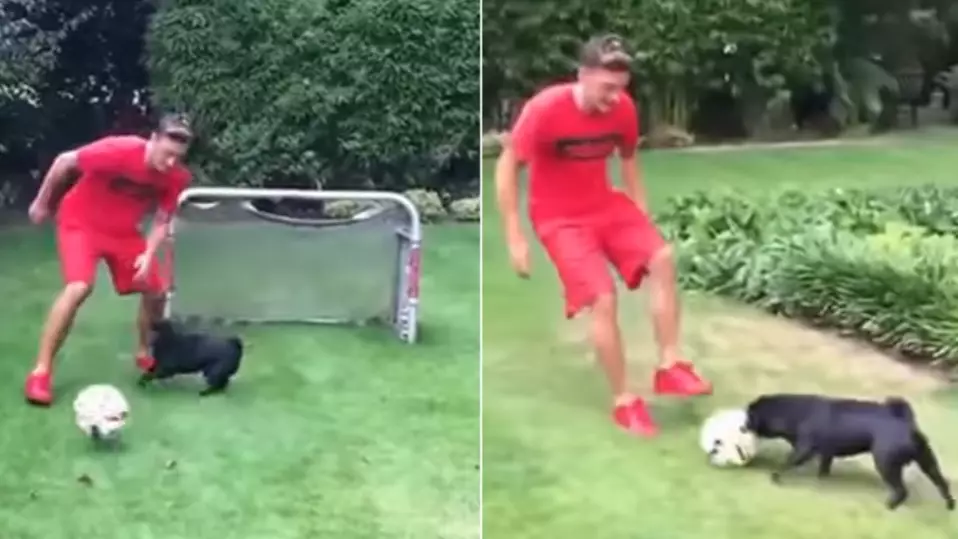 Even Mesut Ozil's Dog Can Tackle Him 