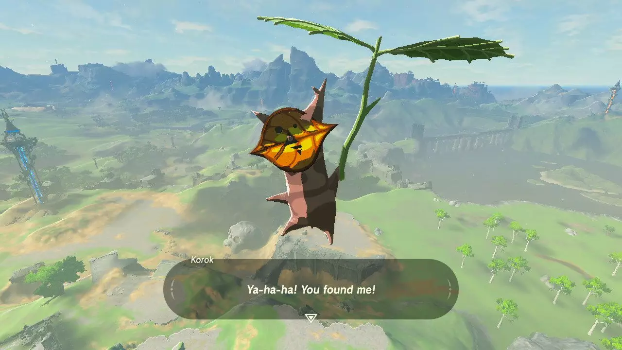 A korok seed in Breath of the Wild /