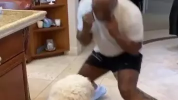Mike Tyson Shows Frightening Speed And Boxing Skills As He Spars With His Dog