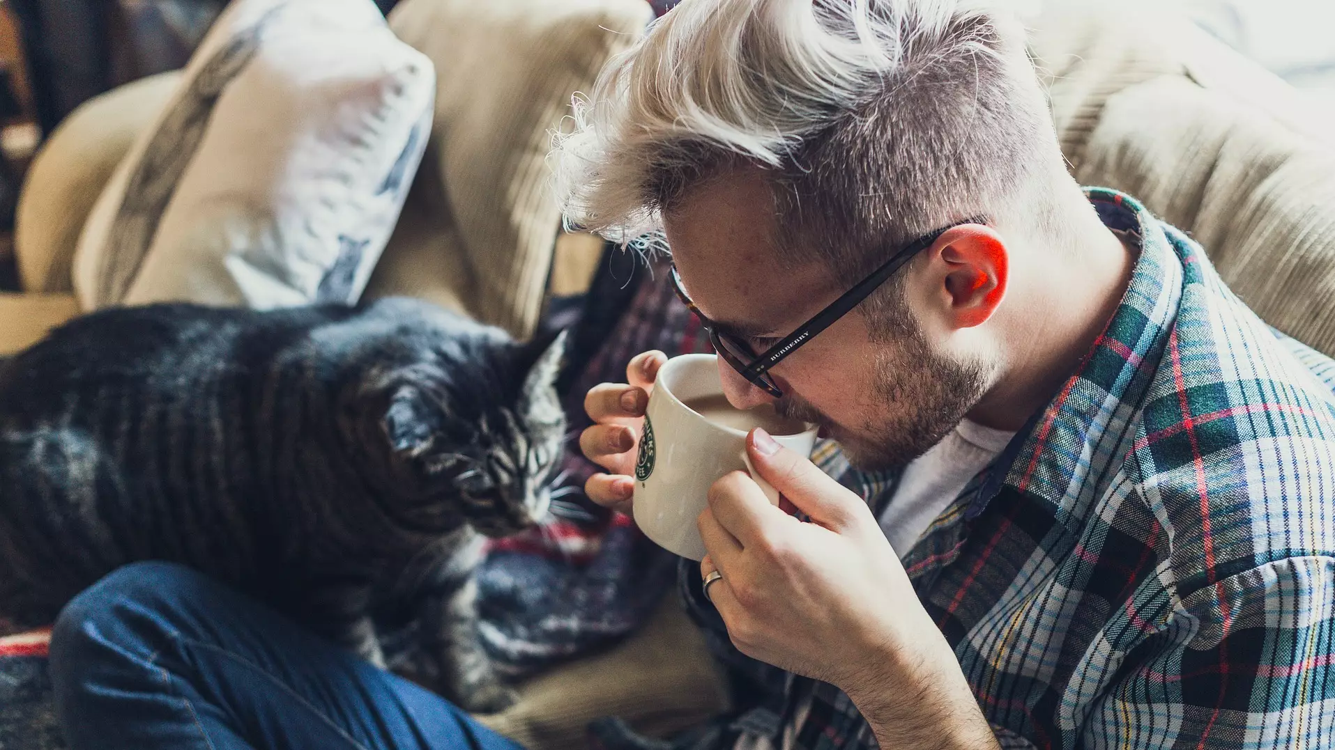 Women Are Less Likely To Swipe Right On Male Profiles With Cat Pictures