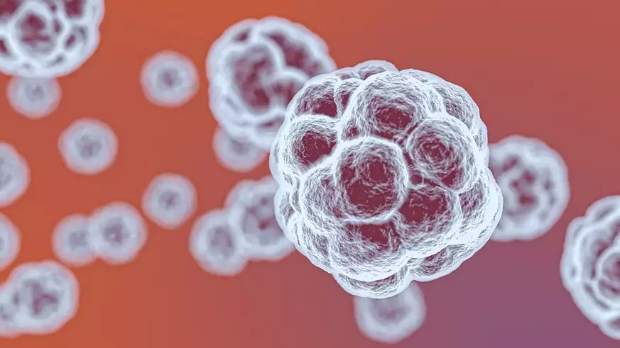 Home Coronavirus Antibody Kits To Be Available 'In Days' Across The UK