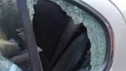 Driver Says Car Window Was Smashed By Someone Trying To Save Toy Dog 