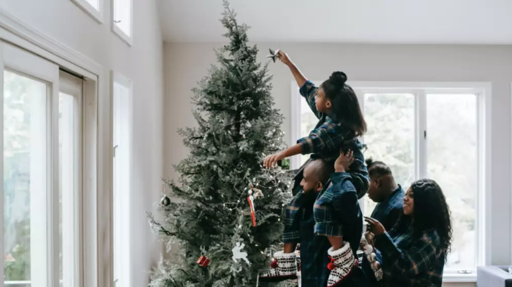You Can Now Rent A Christmas Tree