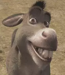 Murphy mentioned his role as a donkey in Shrek.