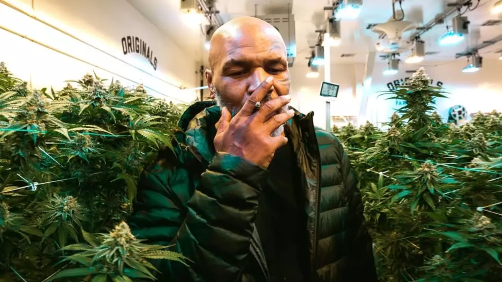 Mike Tyson 'Won't Be Tested For Marijuana' For His Exhibition Bout With Roy Jones Jr