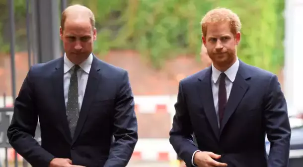 Prince Harry and Prince William are on 'different paths', Harry says (