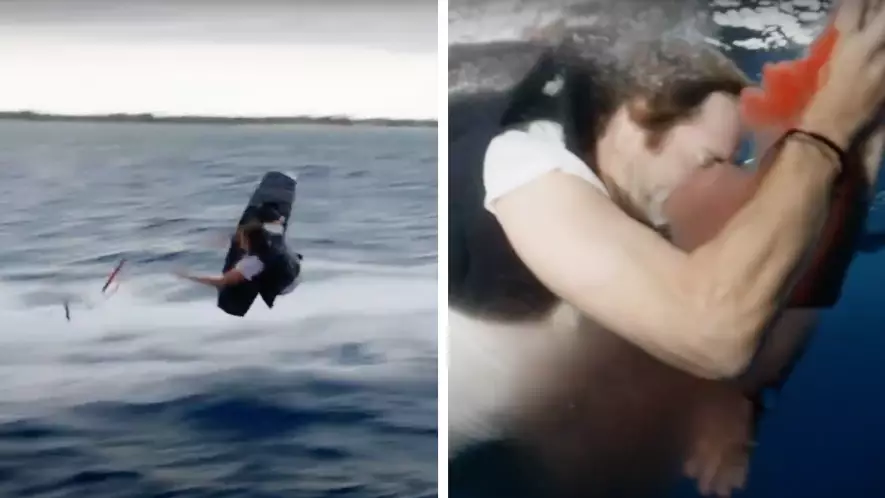 Jackass Star Sean McInerney Attacked While Wakeboarding Over Shark-Infested Waters
