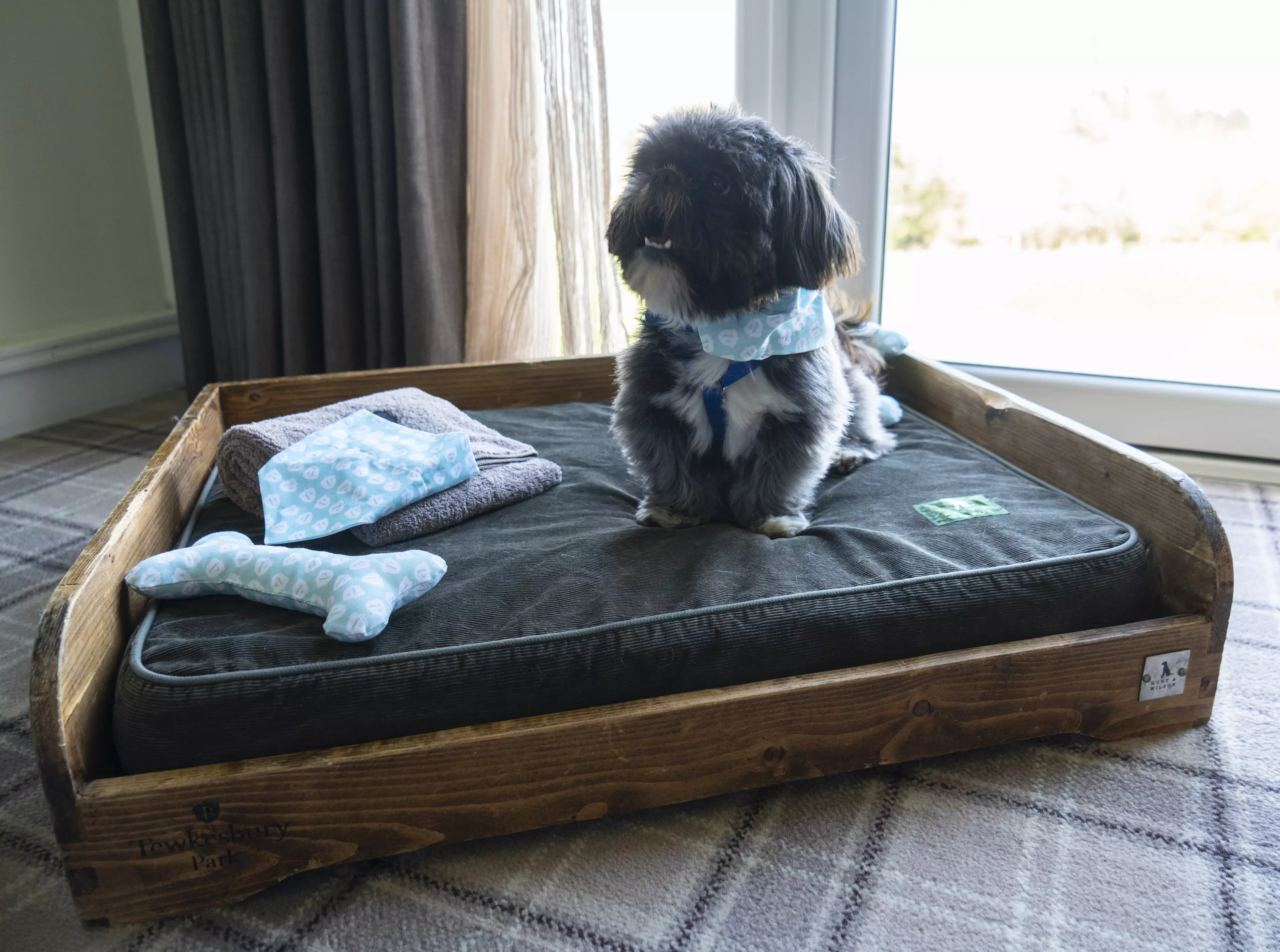 The dogs were treated to memory foam beds and rooms that had direct access to a patio (