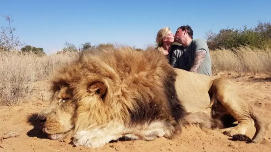 Daughter Disowns Father After Seeing Photo Of Him Posing With Dead Lion