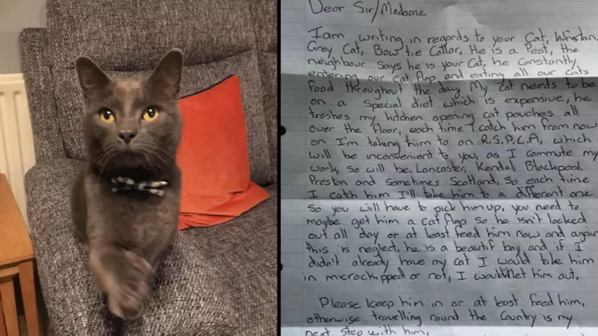 Man's Neighbour Leaves Bizarre Note Threatening To Kidnap Cat Because It Keeps Stealing Food 