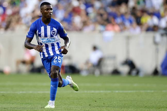 Moises Caicedo in action for Brighton. Image: Getty