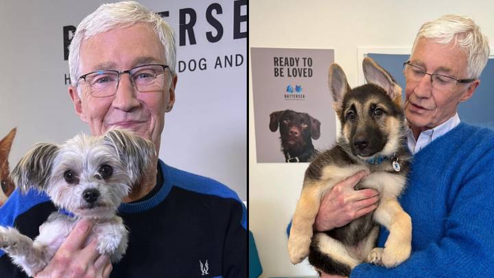 保罗·奥格雷迪（Paul O'Grady）去世后，巴特西狗和猫之家获得了超过100,000英镑的捐款