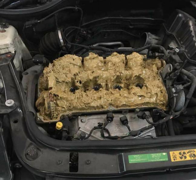 迷你发动机完全覆盖了粘胶。信用：Facebook / BMW俱乐部 /德国汽车中心地区