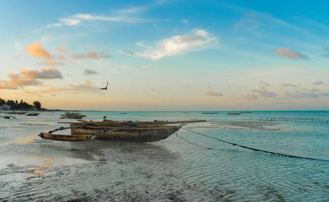 坦桑尼亚桑给巴尔岛的海滩。学分：Pixabay/Klimentgrozdanoski