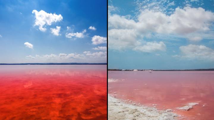 鲜为人知的西班牙小镇与澳大利亚的粉红色湖，可以以40英镑的价格访问