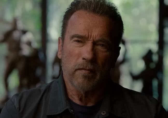 Schwarzenegger透露，一个孩子是在咨询课程中造成的。学分：Netflix