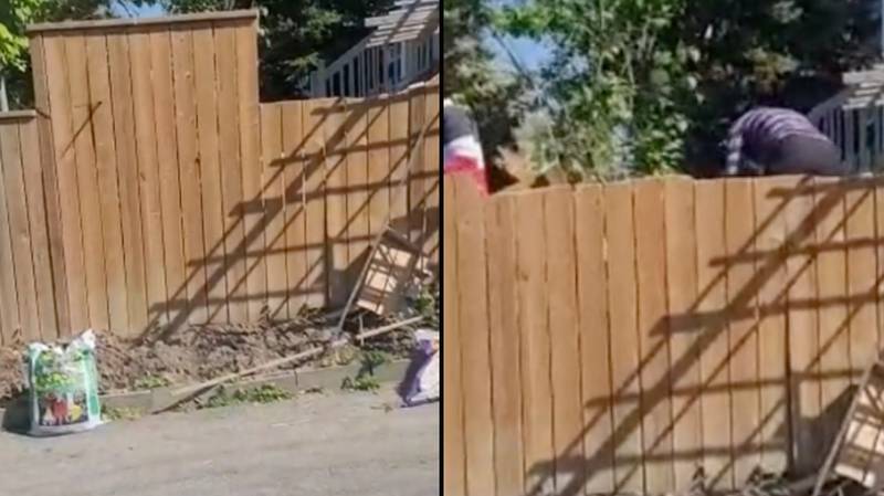 在愤怒的邻居被发现砍伐共享栅栏之后，男子敦促找律师