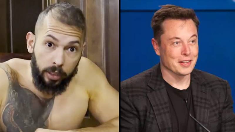 安德鲁·泰特（Andrew Tate）恳求埃隆·马斯克（Elon Musk“loading=