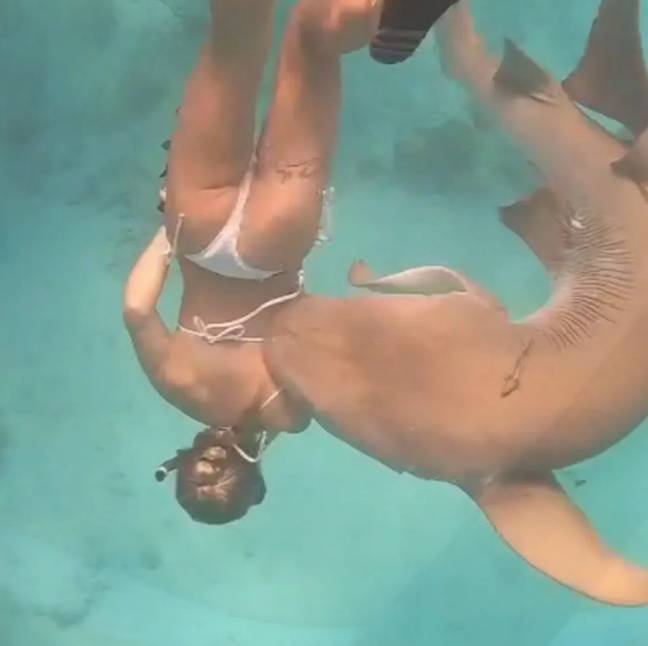 卡门·塞维洛（Carmen Cervello）在马尔代夫浮潜时被护士鲨鱼咬伤。信用：媒体鼓图像