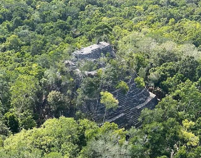 古代玛雅城的真实规模以前被丛林掩盖了。学分：理查德·汉森/票价