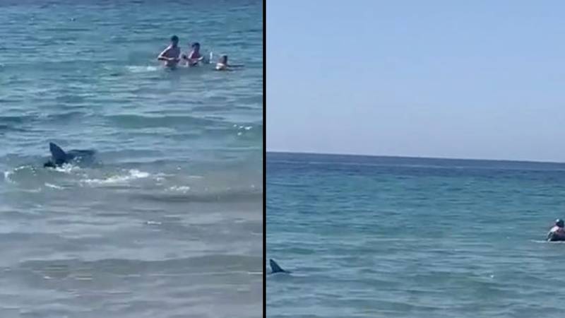 在西班牙度假海岸发现鲨鱼之后，游泳者急于安全“loading=