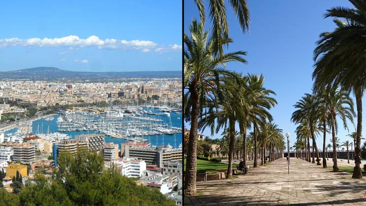 英国人今年夏天前往马洛卡（Mallorca）警告警察对游客的镇压
