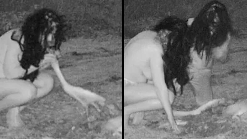 裸照的“女巫”在奇怪的安全摄像机镜头中捕获了吃鹿尸体