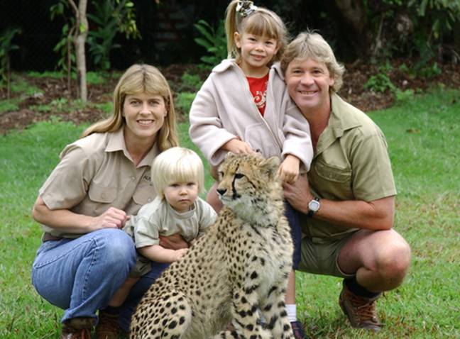 史蒂夫·欧文（Steve Irwin）与家人一起长大了澳大利亚动物园。信用：澳大利亚动物园