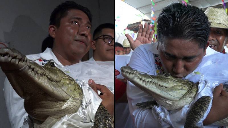 市长嫁给了鳄鱼般的动物，他称他为“公主女孩”