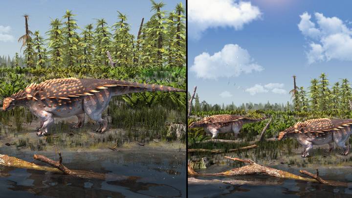 怀特岛发现了一种新的恐龙物种
