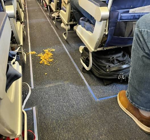 直到有人清理米饭，飞机才起飞。学分：Twitter/@jenschap
