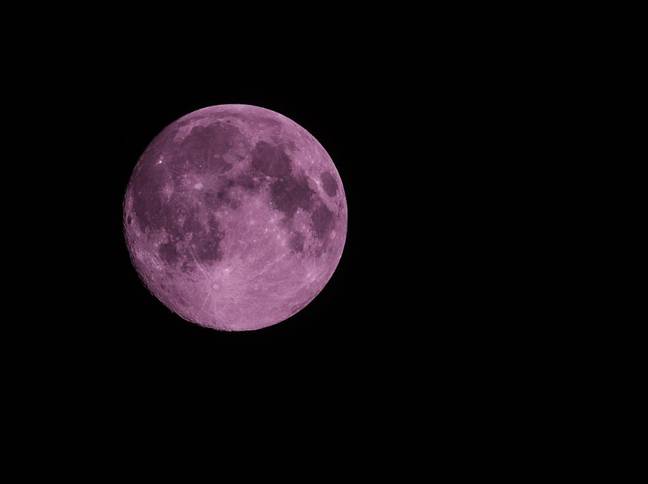 您将很快能够在充分照明处看到粉红色的月亮。学分：Momofotografi / Alamy股票照片