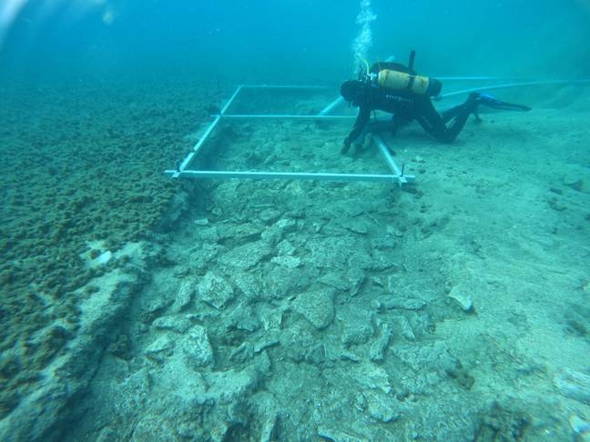 考古学家在亚得里亚海底部发现了一条史前高速公路。学分：Facebook/sveučilišteu zadru
