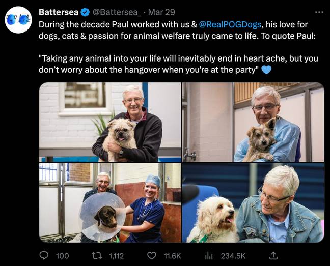 动物收容所为纪念奥格雷迪（O'Grady）创建了一个致敬的基金页面。图片来源：Twitter/ @battersea_