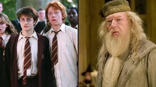 哈利·波特电视连续剧（Harry Potter）用全新的演员确认