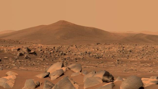 流动站已将火星的图片寄回了。学分：Instagram / NASA“loading=