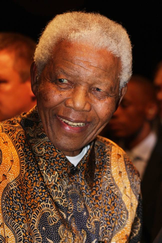 纳尔逊·曼德拉（Nelson Mandela）争取平等权利。学分：Afripics / Alamy股票照片