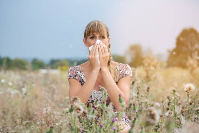 花粉症患者很快就不会休息（信用：Shutterstock）