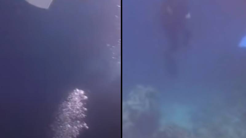 潜水员探索致命的蓝洞记录了他悲惨死亡之前的录像