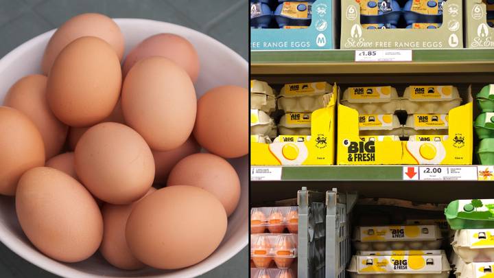 英国人不再可以在英国超市购买自由放养鸡蛋