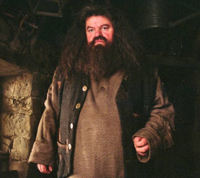 Coltrane在Harry Potter系列中出演了Hagrid。信用：华纳兄弟。