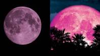 如何在本周看到英国四月的粉红色月亮