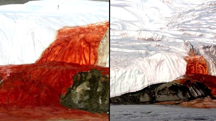 几十年后，南极洲的“流血”瀑布的奥秘终于解决了