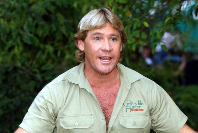 史蒂夫·欧文（Steve Irwin）被黄貂鱼stung刺后，可悲的是在2006年去世。学分：PA图像 / Alamy Stock Photo