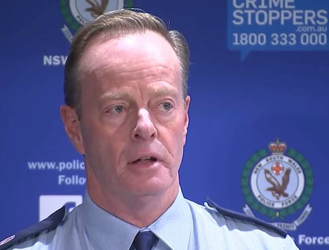 新南威尔士州警察局的彼得·科特（Peter Cotter）提供了有关克莱尔·诺兰德（Clare Nowland）taseering的信息。学分：ABC