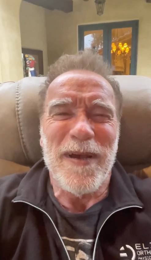 阿诺德·施瓦辛格（Arnold Schwarzenegger）透露了他的日常饮食。学分：Instagram/@schwarzenegger