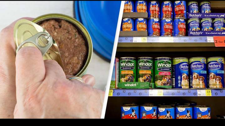 Dog Food Tester' Salary Is Surprisingly High
